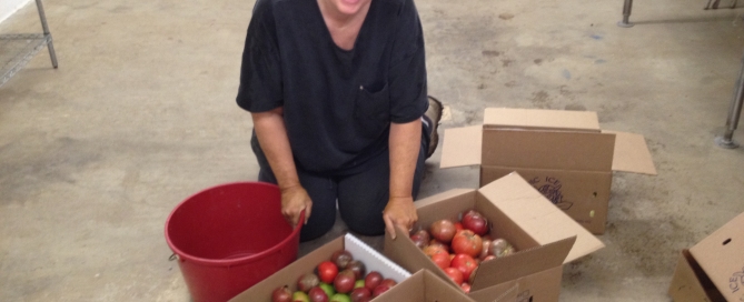 Sandy Vivian sorting tomatoes for food pantries