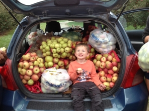 Apple gleaning at an orchard near Bonner Springs KS @ 7:30-10:30 a.m. Tuesdays, Thursdays and Saturdays