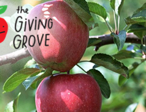 The Giving Grove