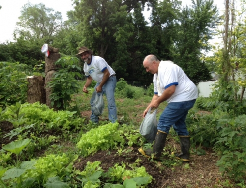 Strategic Plan Addresses “Increasing Community Need”