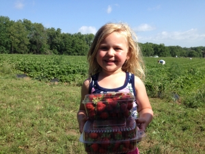 Produce gleaning near Kansas City @ A farm within 30-45 min. of Kansas City