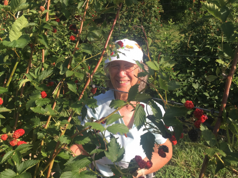 Loxie Stock VEG Squad