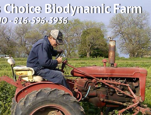 Nature’s Choice Farm