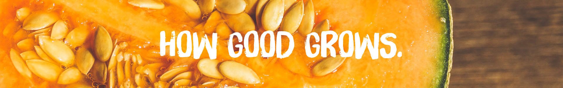 How good grows Cantaloupe Banner
