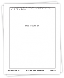 Public Disclosure copy