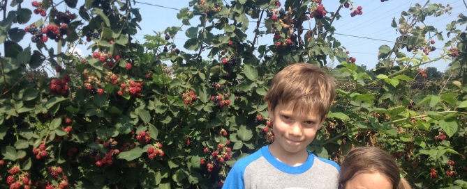 two kids fruit tree